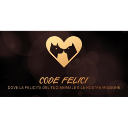 Code Felici logo