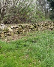 Ted Multiservices image 19