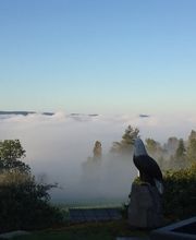 TCM Praxis für Frauen und Schmerzpatienten/Innen Bild 11