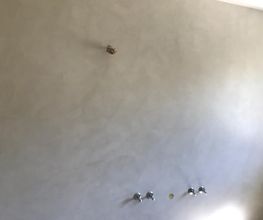 Malergeschäft Harry Di Rito Bild 2