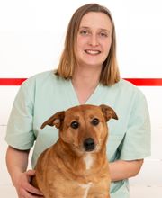 Kleintierpraxis Am Brautsee Marnie Obst Bild 2