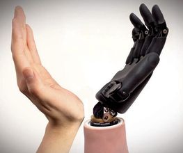 mano-vincent-ortosur-1.jpg