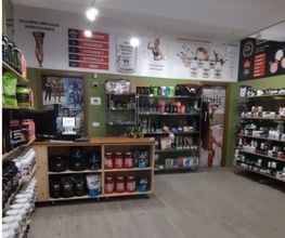 Gallery Cliente