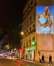 WILD projection image 2