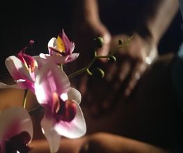 Thongma Thaimassage Köln Königsforst Bild 1