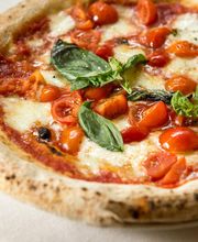Gallery Professionale