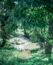Moulin à Huile Paradis image 9