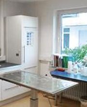 Kleintierpraxis Dr. Patricia Mayerhauser Bild 1