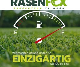 Rasenfox.de Bild 2
