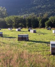 Le Rucher des Hautes Vosges image 15