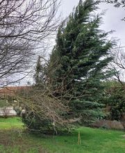 AG Multiservices image 1