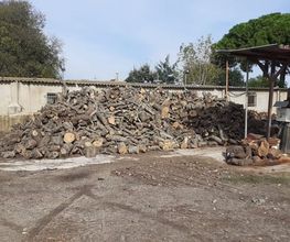 VENTADELENATARRAGONA.jpg