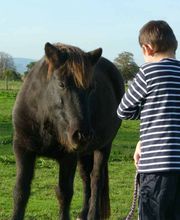 DOMAINE D'HIPPIOS image 5