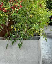 Green and Co Paysages Sàrl Bild 2