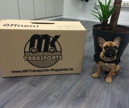 MK-Transporte Bild 4