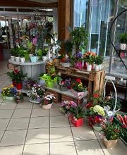 Blumen Haider Bild 8