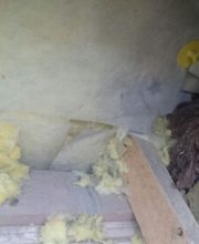 Schrader Schädlingsbekämpfung Bild 5