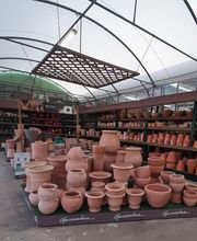 Jardinerie du Bois-Paris image 12