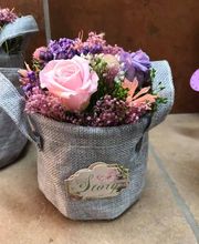 Floristería Campo y Jardín imagen 11