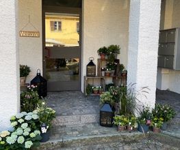 Martin's Blumenwelt Bild 10