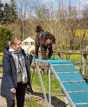 Hundeschule Guggisberg Bild 4