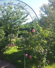 KaBaut Garten-& Landschaftsbau Bild 9