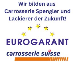 Ercolani Autospenglerei - Malerei AG Bild 11