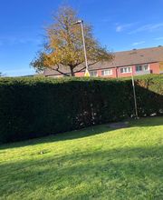 IMG-20241026-WA0013.jpg