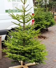 Bernhard Brand Bild 2