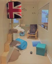 L'Arbre à chats - Pension pour chats image 4