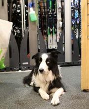 Concept - Location ski snowboard image 13