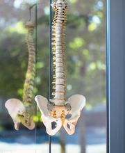 Bersot Formation - Prépa PASS / LAS (médecine, odontologie, pharmacie, kinésithérapie, maïeutique) image 14