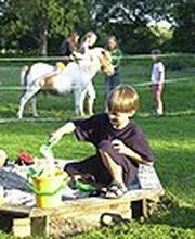 Ferienhof Bruns Bild 13