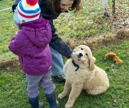 Happy-Dog-School Bild 3