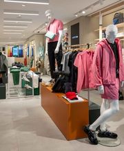 Lacoste Metz image 8