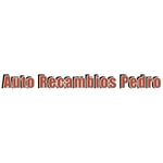 recambiospedrologo.JPG