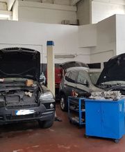 Gallery Cliente