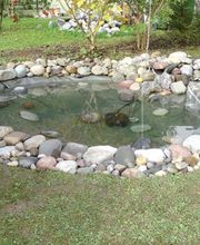 Blumen Bürgler Hirzel Bild 1