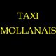 Taxi Mollanais SARL