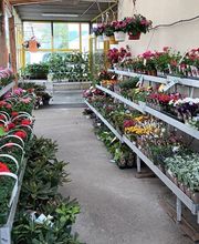 GAMM VERT VILLAGE image 1