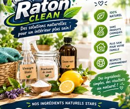 RATON CLEAN image 2