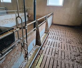 Clean BY BM Bild 6