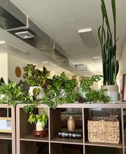 Rooted Chiropractic Club image 2