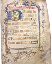 La Librairie Bourbonnaise image 6