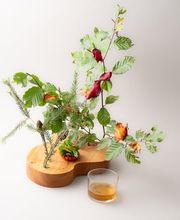 Roh und Nobel gmbh Bild 9