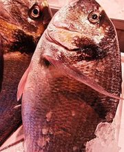 Julio Pérez SL imagen 12