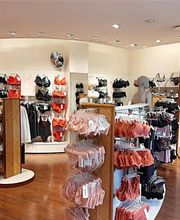 Darjeeling Avignon image 1