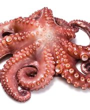 Pescados Goyo imagen 6