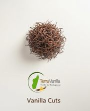Madagascar Vanilla & Spice Trading image 9