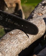 Baumpflege - S. Kaufhold Bild 6